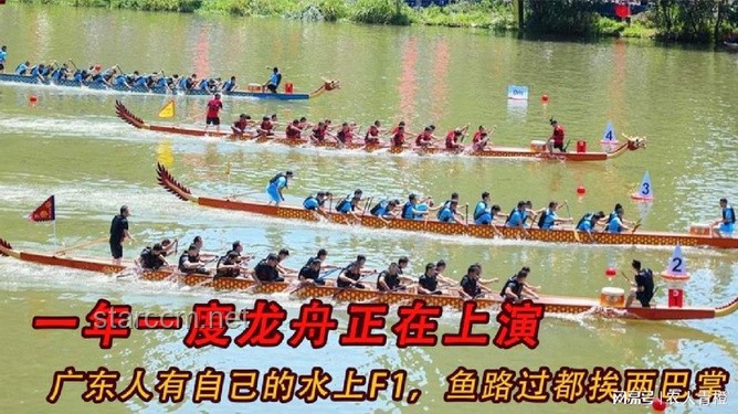 广东人自己的“水上F1”龙舟赛：传统文化与现代激情的碰撞